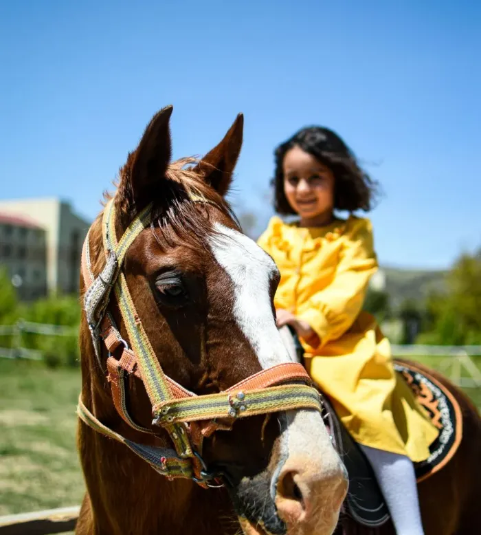 A girl in a yellow dress riding a horse outdoors